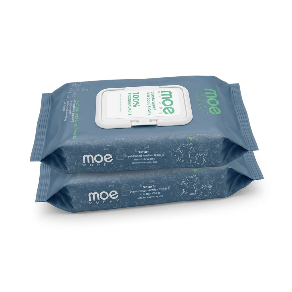 Multipurpose Derma Wipes for Dogs & Cats