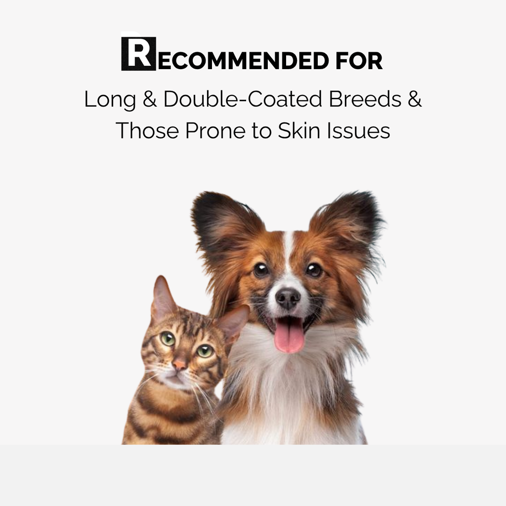 Discovery Pack – Keratin Plus & Xtra Nourish Shampoo Combo | 2 x 50ml