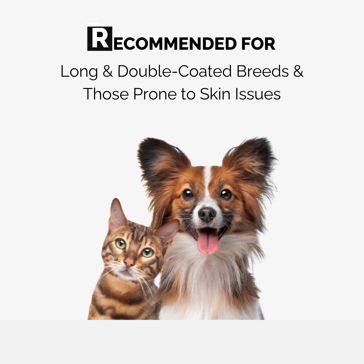 Discovery Pack – Keratin Plus & Xtra Nourish Shampoo Combo | 2 x 50ml