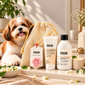 Happy Paws Festive Kit