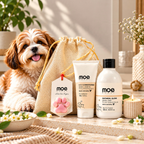 Happy Paws Festive Kit