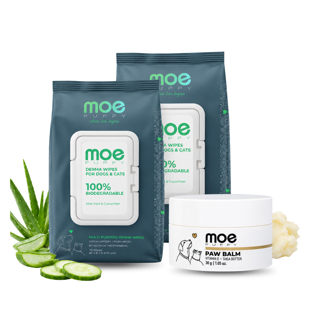 Paw Nourish Combo