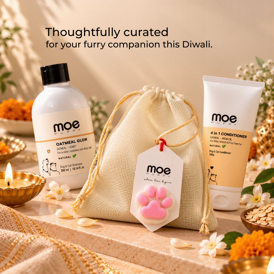 Happy Paws Festive Kit