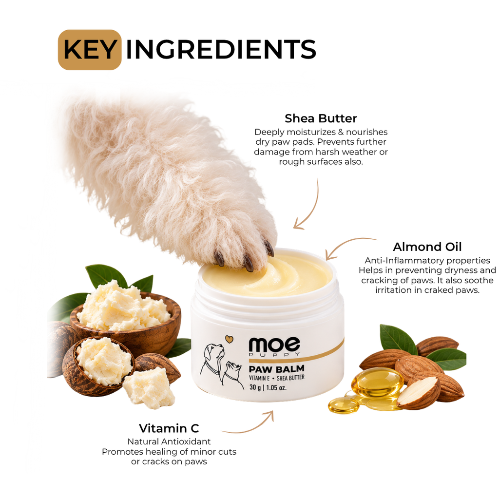 Paw Nourish Combo