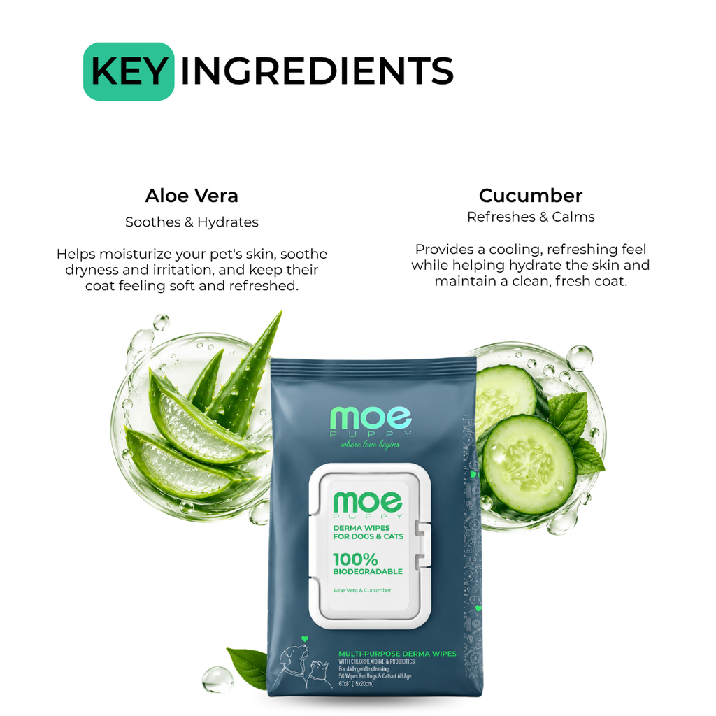 Rinse Free Grooming Combo