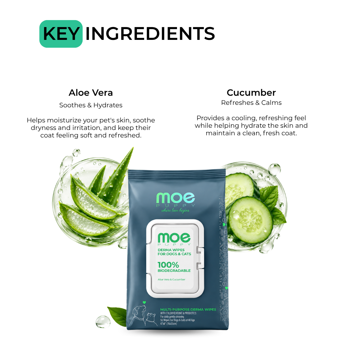 Rinse Free Grooming Combo