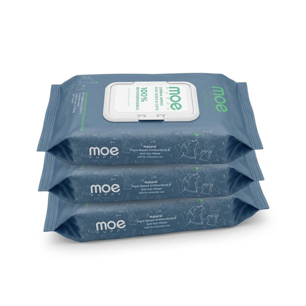 Multipurpose Derma Wipes for Dogs & Cats