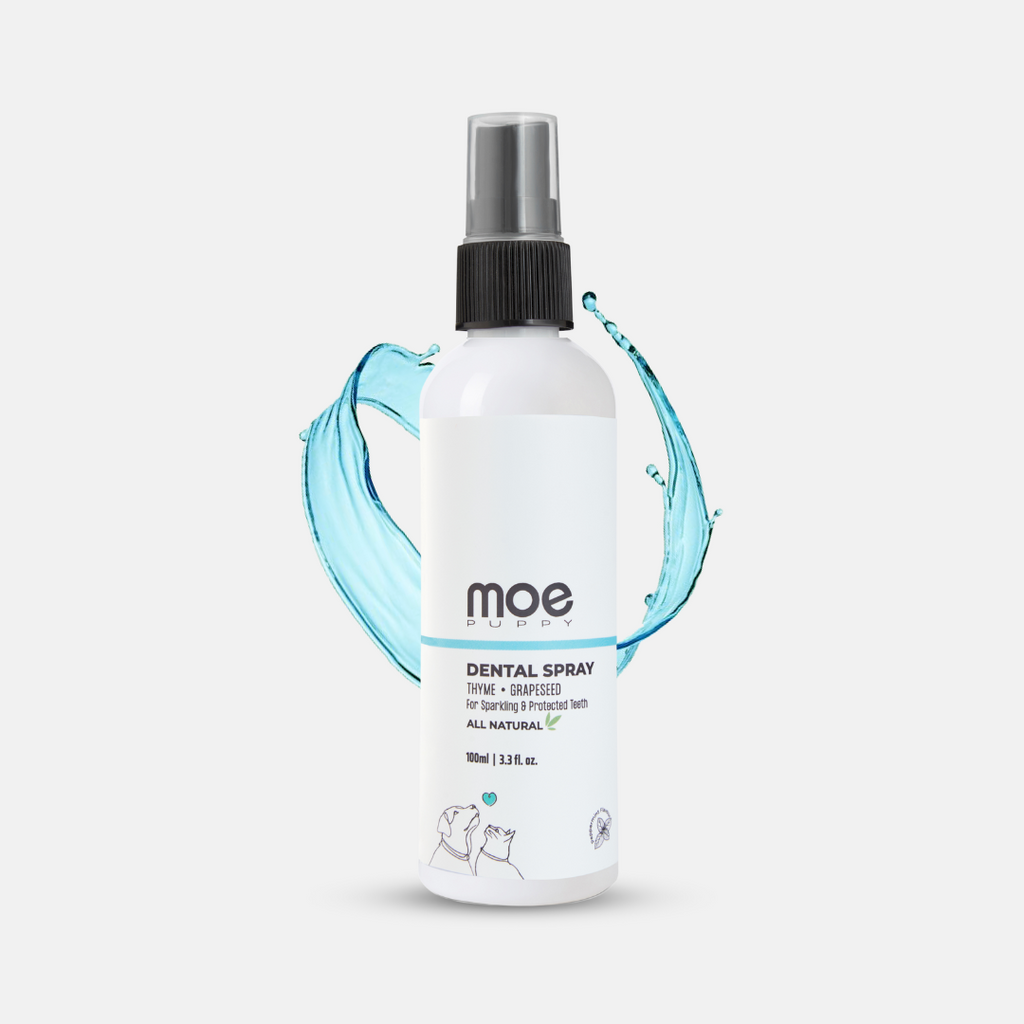 Moe Puppy Dental Spray bottle for dogs and cats