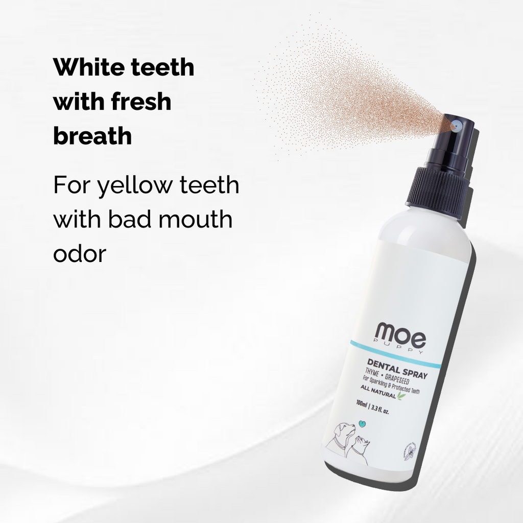 Moe Puppy Dental Spray bottle, white teeth with fresh breath