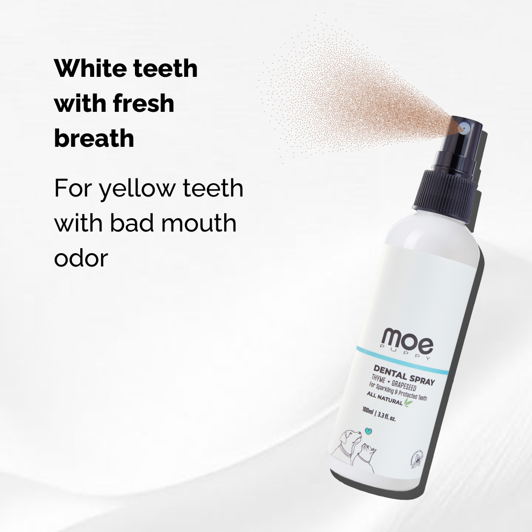 Moe Puppy Dental Spray bottle, white teeth with fresh breath