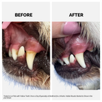 Moe Puppy Dental Spray, before and after of the dog teeth