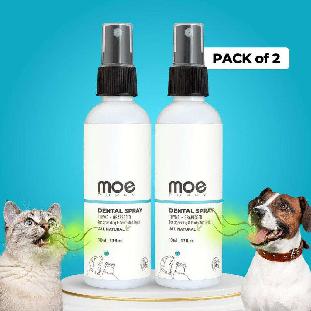 Moe Puppy Dental Spray bottle for dogs and cats pack of 2