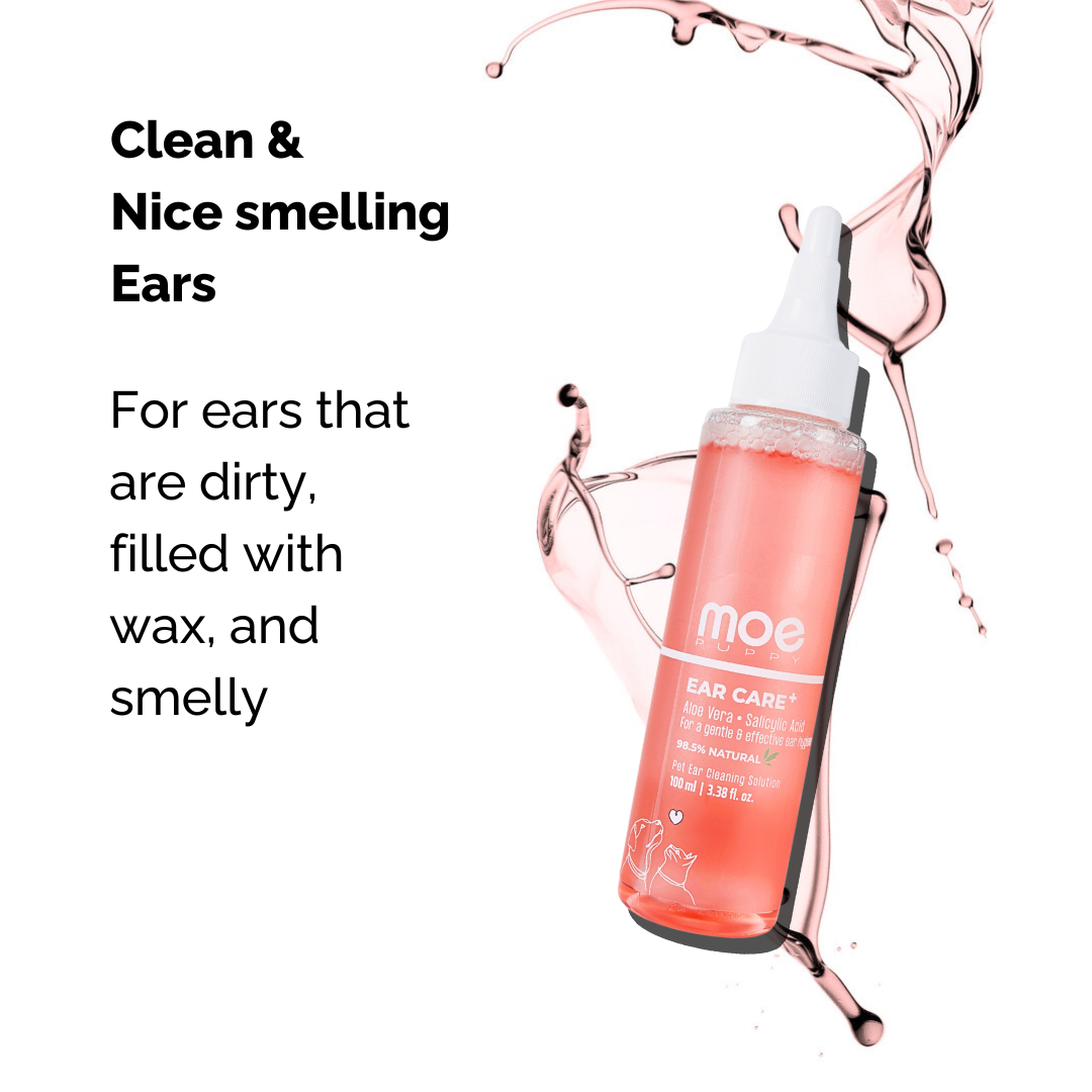 Moe Ear Care+ Natural Cats and Dog Ear Cleaner Solution – Moe Puppy