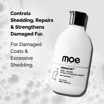 Moe Puppy Keratin+ Hair fall shampoo for dogs control shedding, repair & strengthens damaged fur
