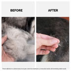 dog hair fall shampoo, dog hair before and after