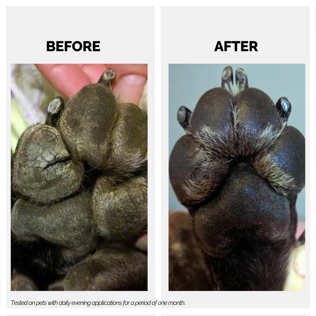 Moe Puppy Paw Balm, Paw cream for dogs and cats, before and after of dog paws