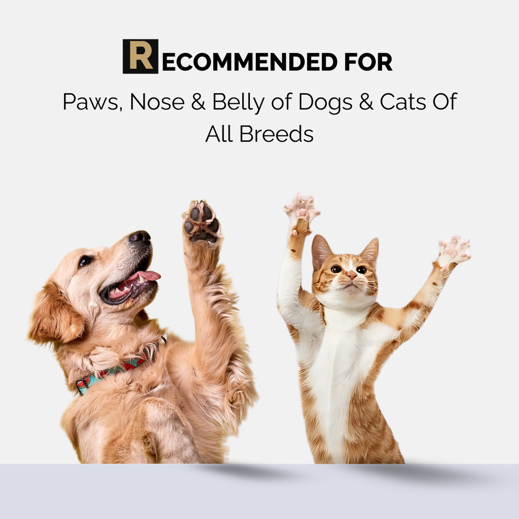 Moe Puppy Paw Balm, Recommended Paw cream for dogs and cats