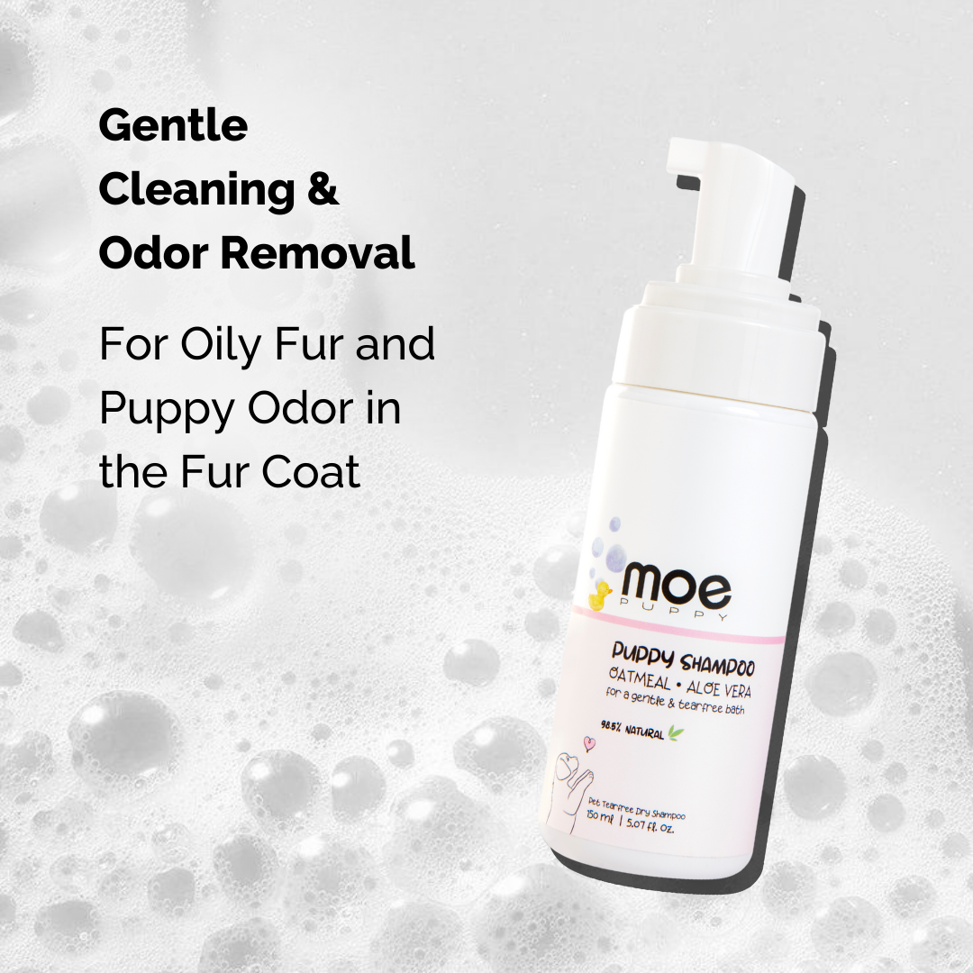 Puppy Foam Shampoo with Oatmeal Aloe Vera Best puppy shampoo