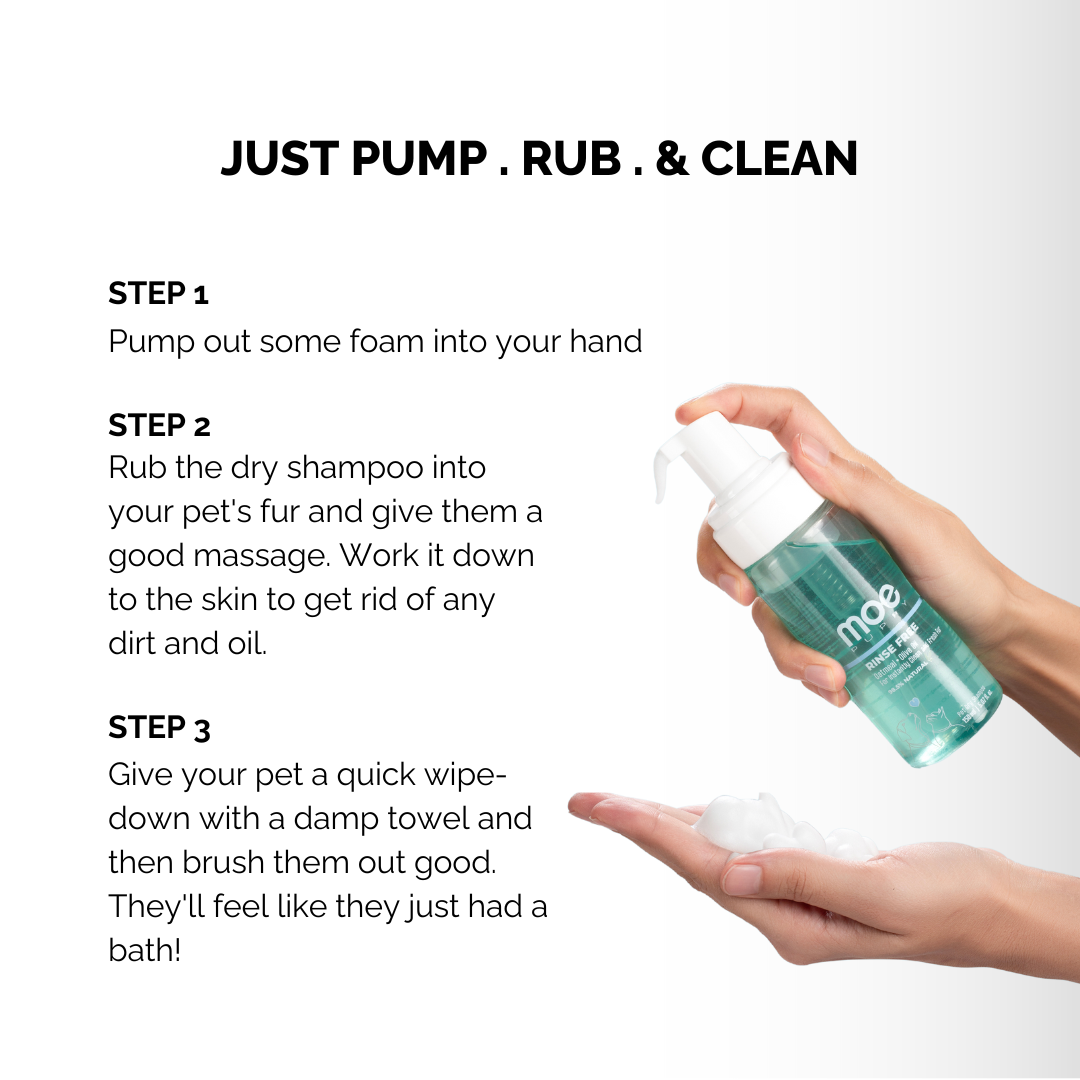 Moe Puppy Rinse Free - Dry Shampoo for Dogs & Cats , just pump, rub and clean