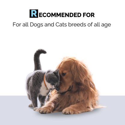 Moe Puppy Rinse Free - recommended Dry Shampoo for Dogs & Cats