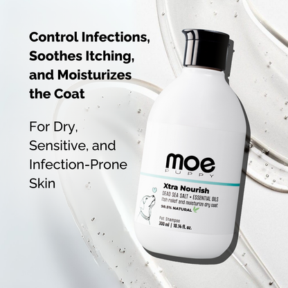 Moe Puppy Xtra Nourish Medicated Shampoo for Dogs & Cats, control infections, soothes itching, and moisturizes the coat
