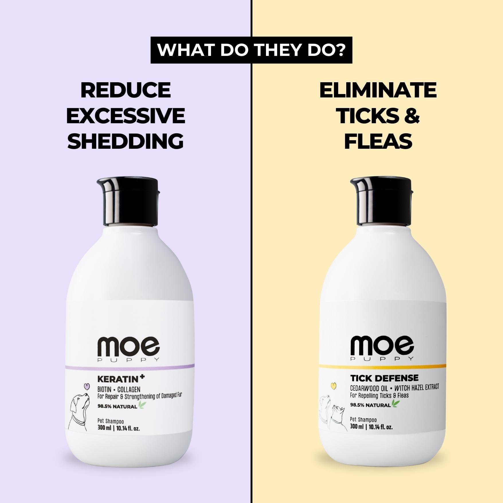 pet shampoo for dogs