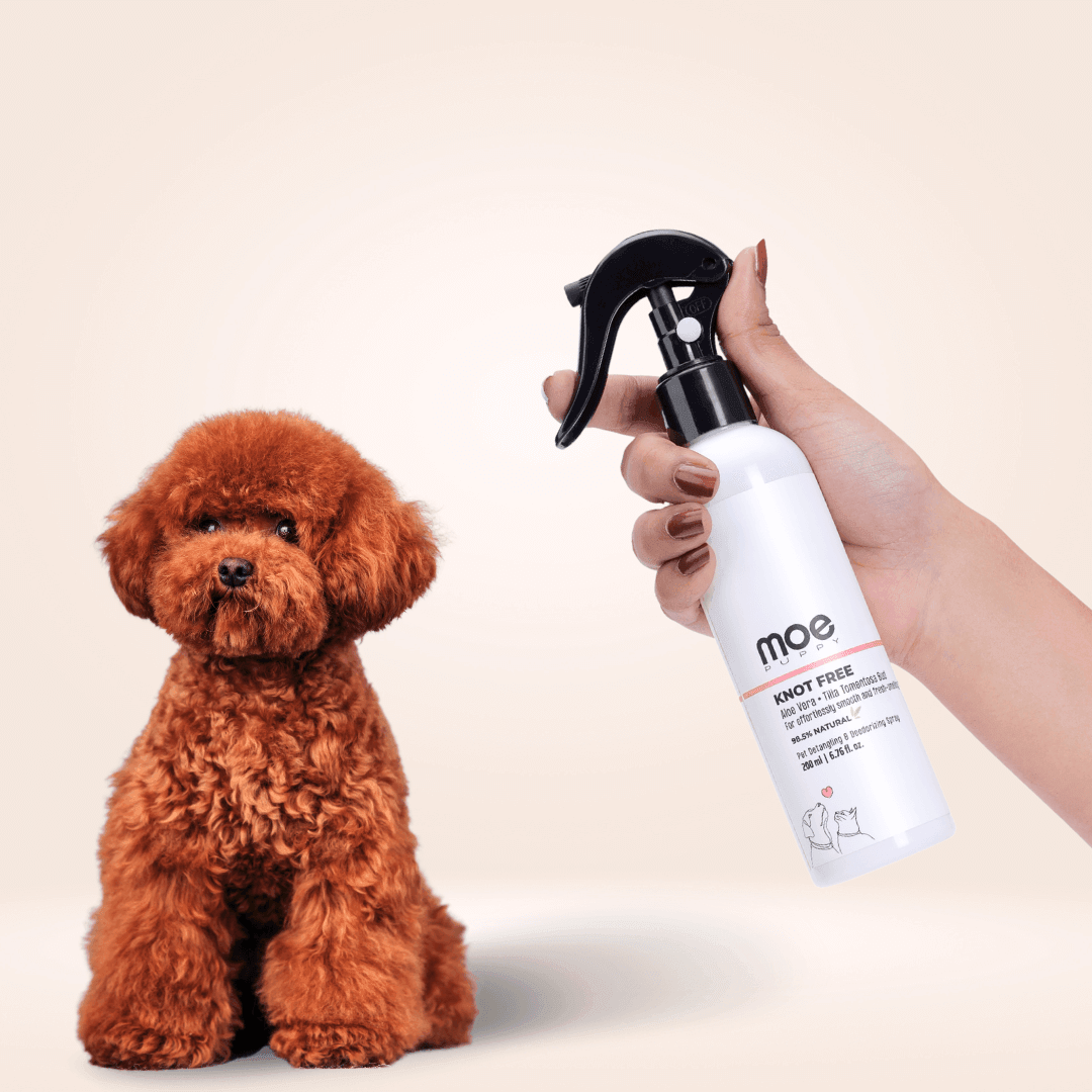 Knot Free Detangler & Deodorising Spray - Moe Puppy