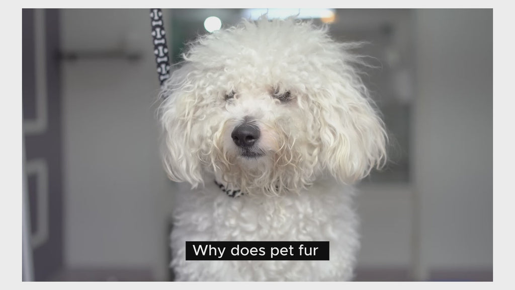 moe puppy shampoo+conditioner is help in both conditioning and deep cleaning