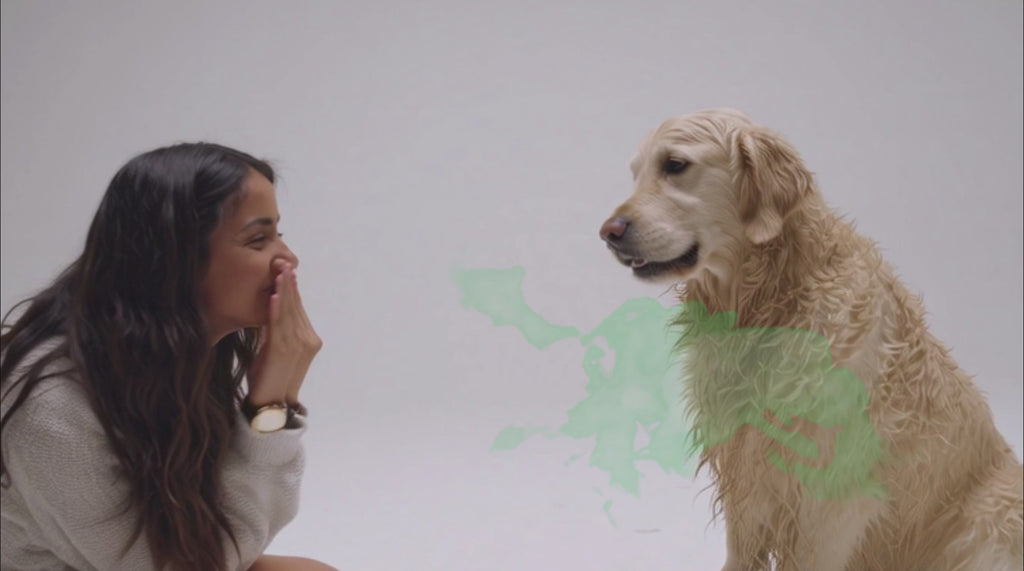 Moe Puppy Deodorizer — 100 ml