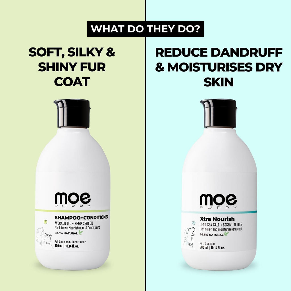 pet shampoo for dogs